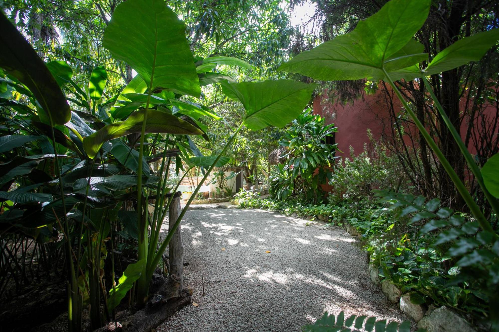 Finca Oz Homun Exterior foto